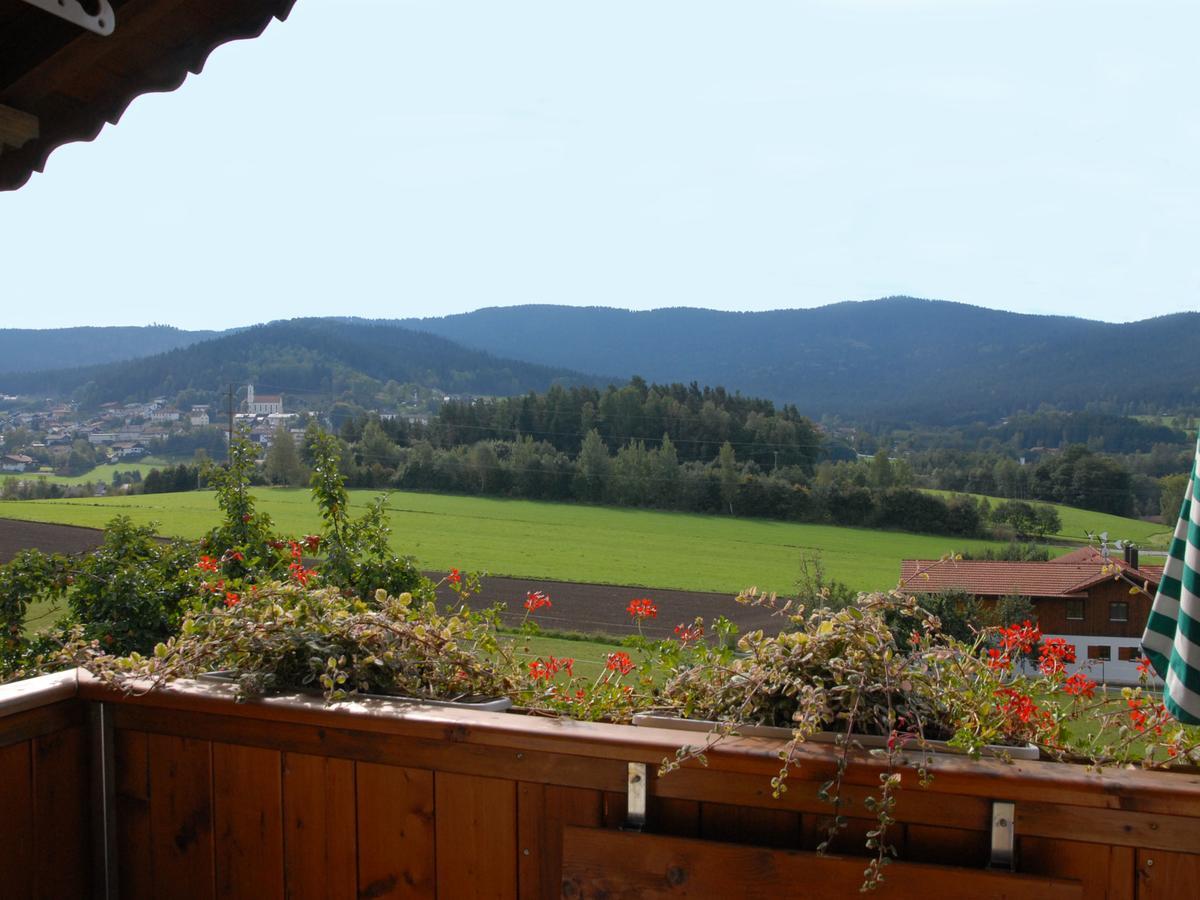 Pension Weiß Hohenwarth Exterior foto